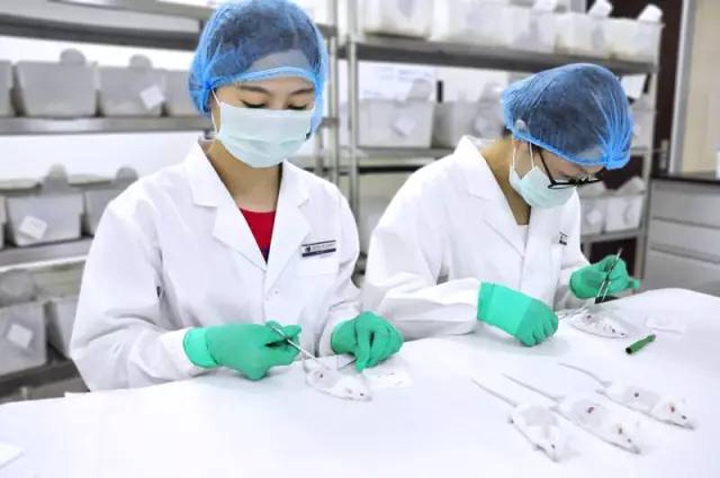 生物医药选购指南：选择正确的生物制剂