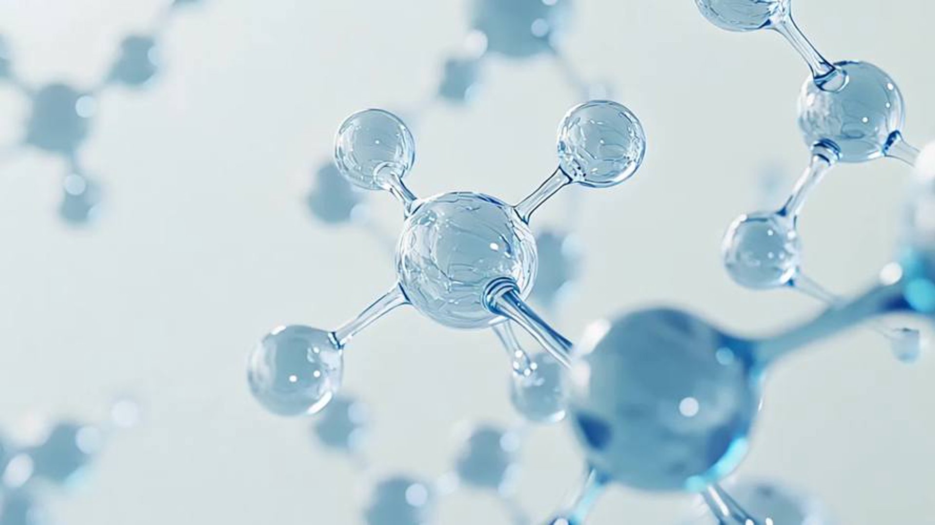 畅舒莱生物